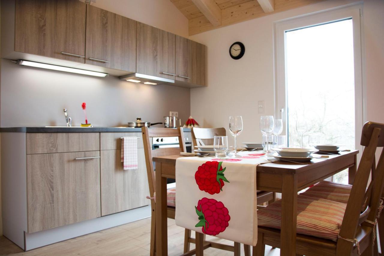 Appartment Vogel Ferienwohnungen Zirndorf Bagian luar foto
